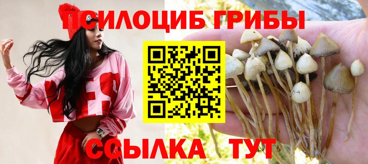 Псилоцибиновые грибы мицелий Моршанск