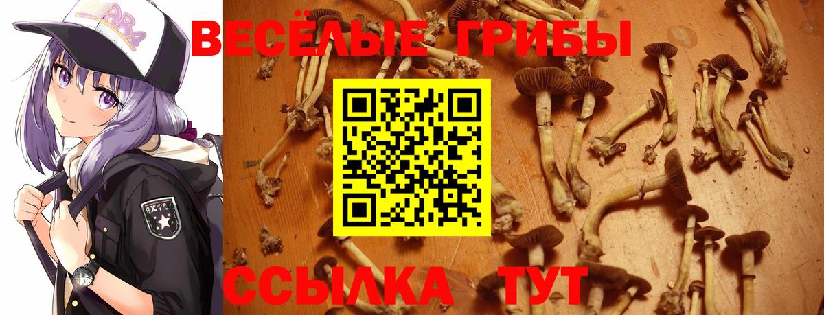 Галлюциногенные грибы Cubensis  Вход с VPN  Моршанск 