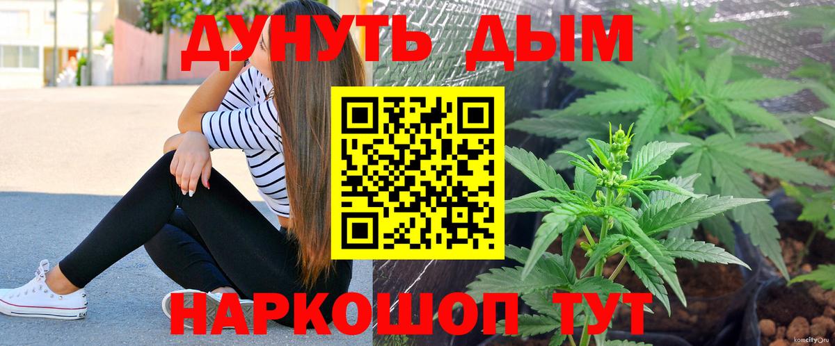 Конопля гибрид  Конопля семена  Моршанск  Вход с VPN  Конопля план 